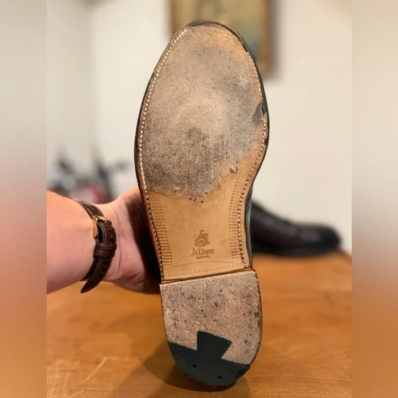 ALDEN Shell Cordovan Plain Toe Monk Strap Dress Shoes | Size 10.5 - Picture 5 of 11